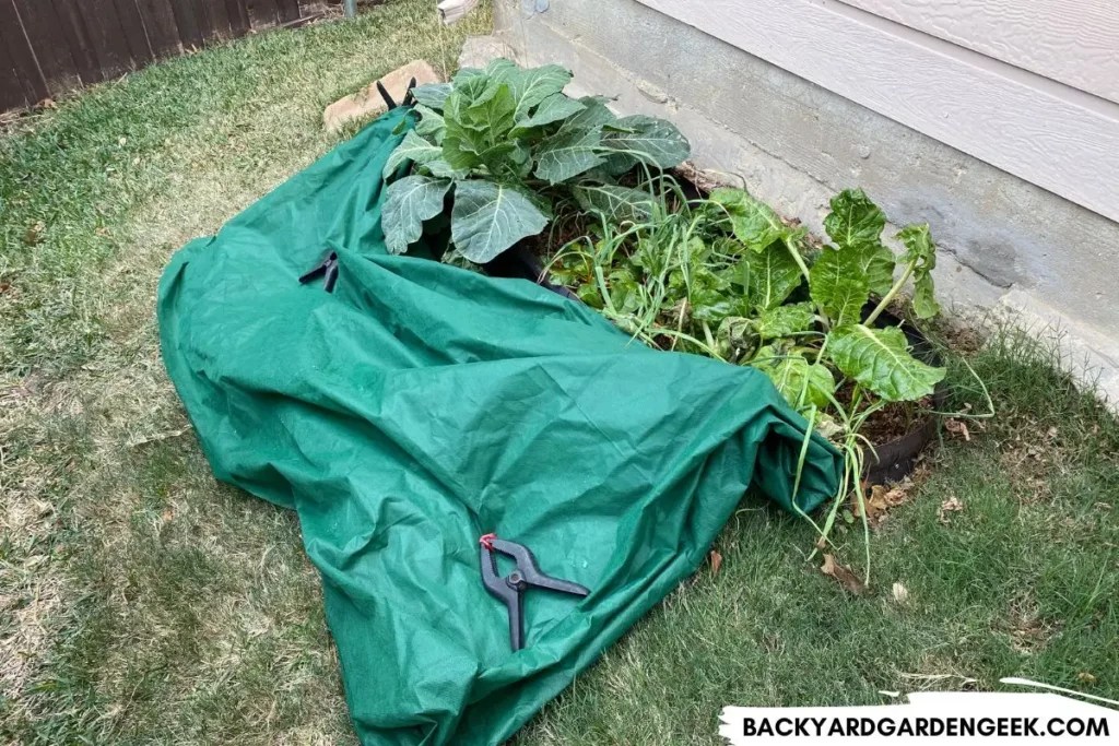 Should You Cover Your Compost Heap in Winter? Backyard Garden Geek