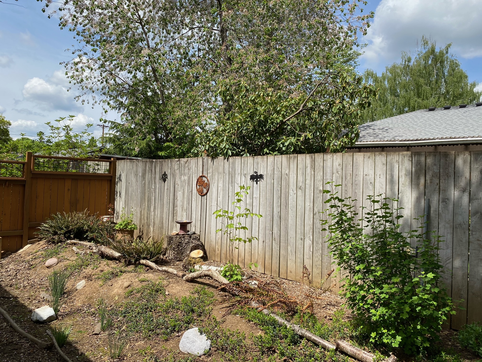 Open Gardens Project Featuring Karli's Habitat Backyard Habitats