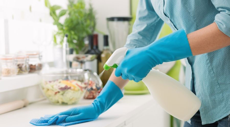 15 Ways to Keep Lizards Off Your Porch Backyard Patios and Decks