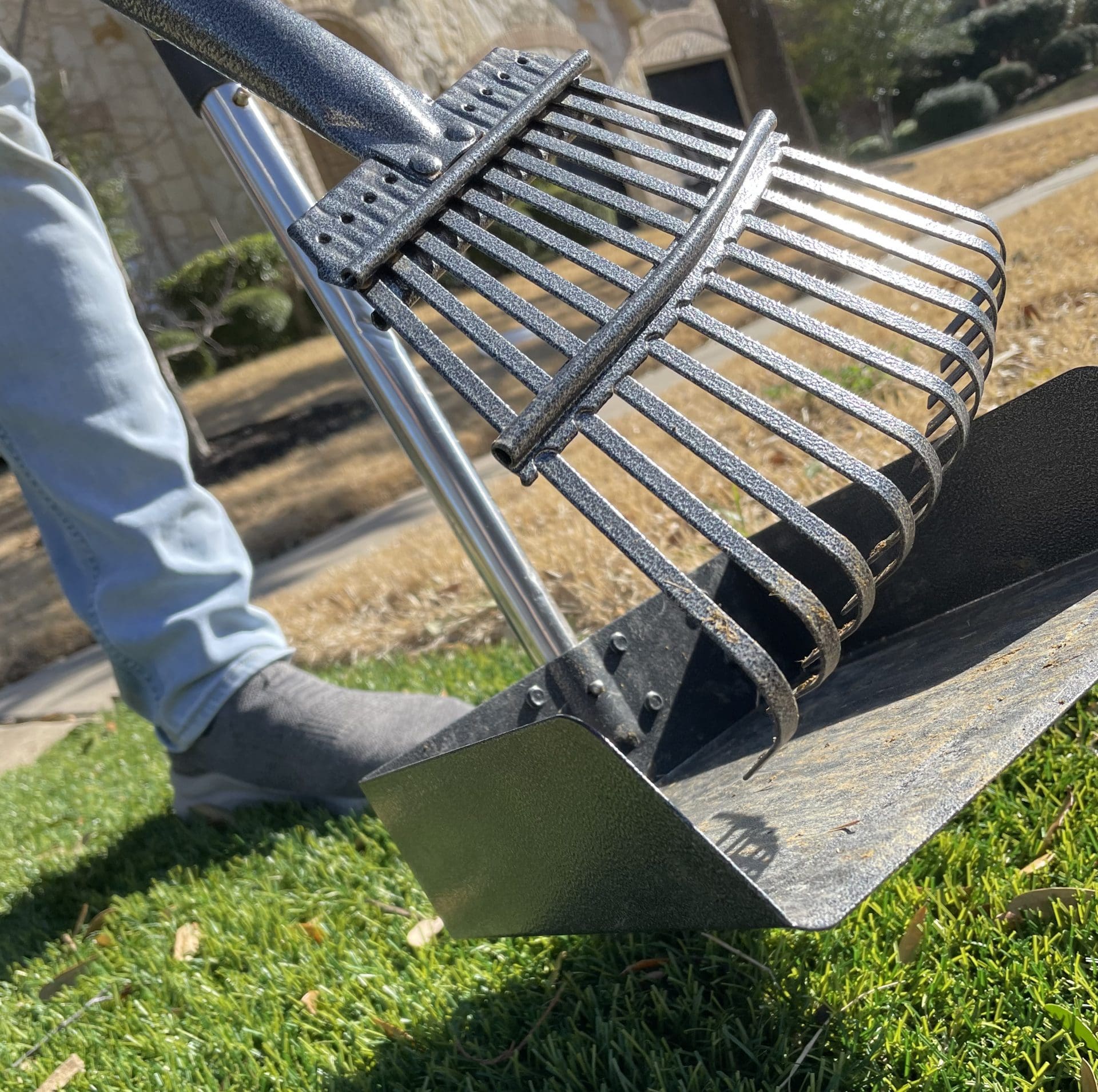 Choosing a Pooper Scooper Service Backyard Pet Services