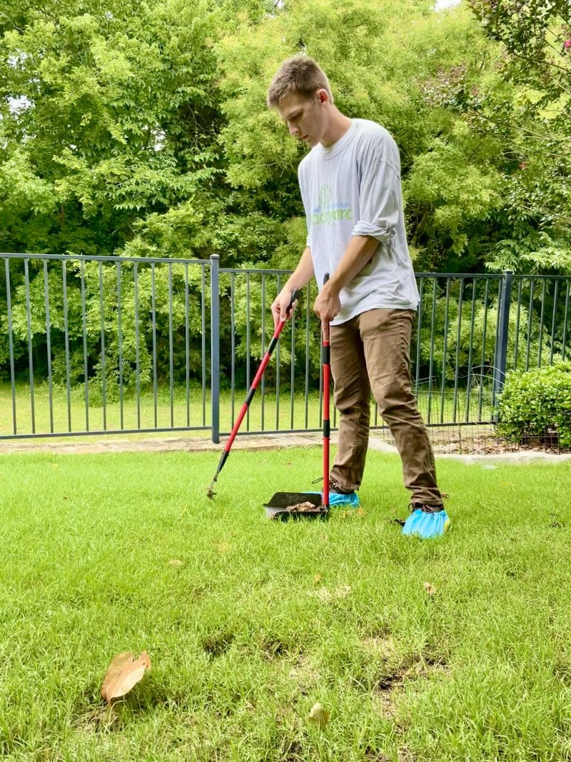 Choosing a Pooper Scooper Service Backyard Pet Services