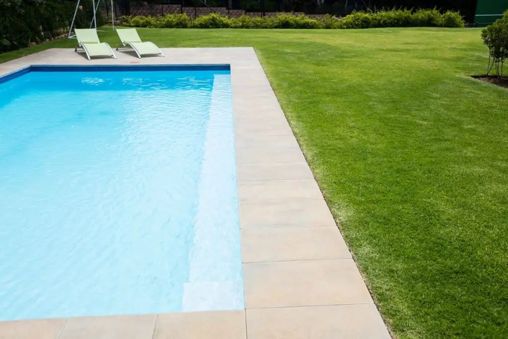 Does Swimming Pool Water Kill Grass? 6 Things to Know