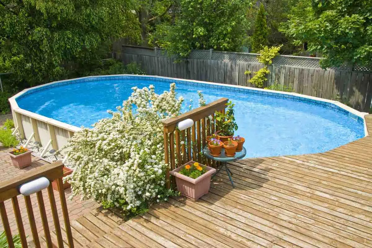 Can Pool Water Kill Nearby Trees and Plants? Backyard Pool Guy