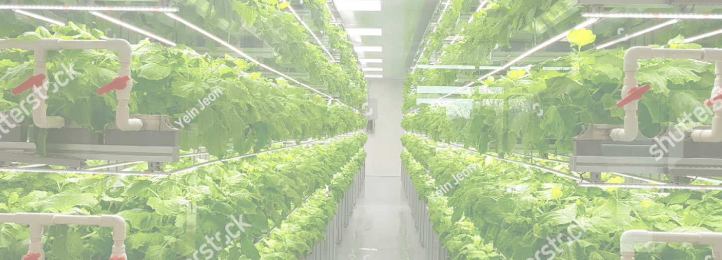 About Us Why Backyard Productions Backyard Production