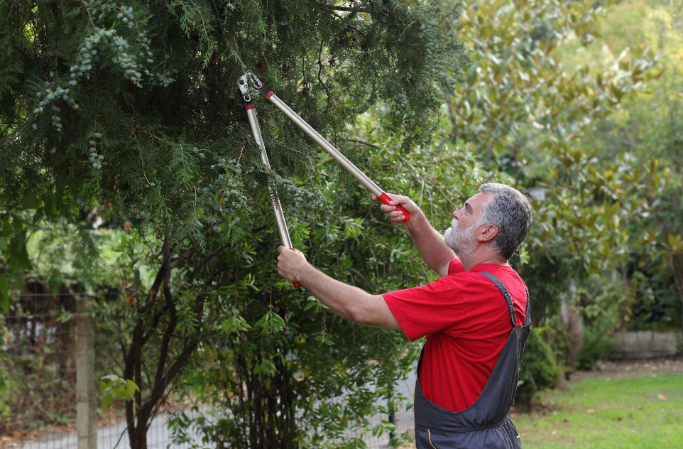 The Best Loppers Backyard Pursuits