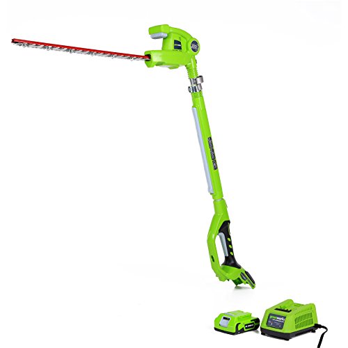 Best Pole Hedge Trimmer Review GreenWorks 22242
