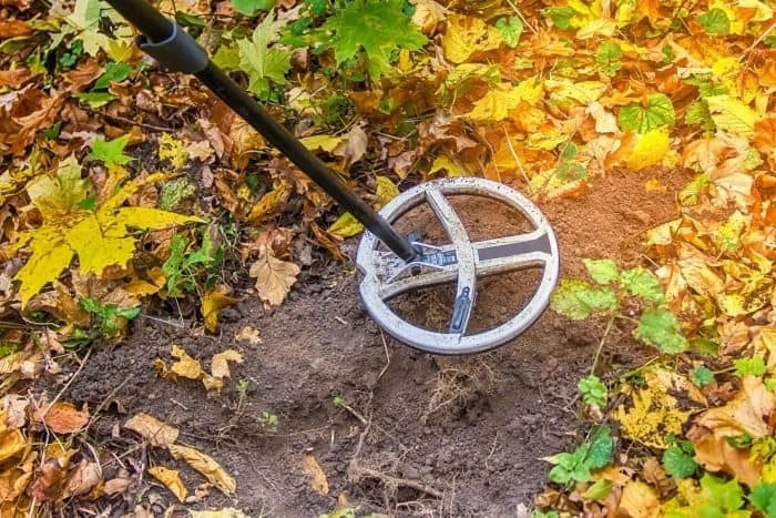 How to Find Diamonds In Your Backyard Backyardscape