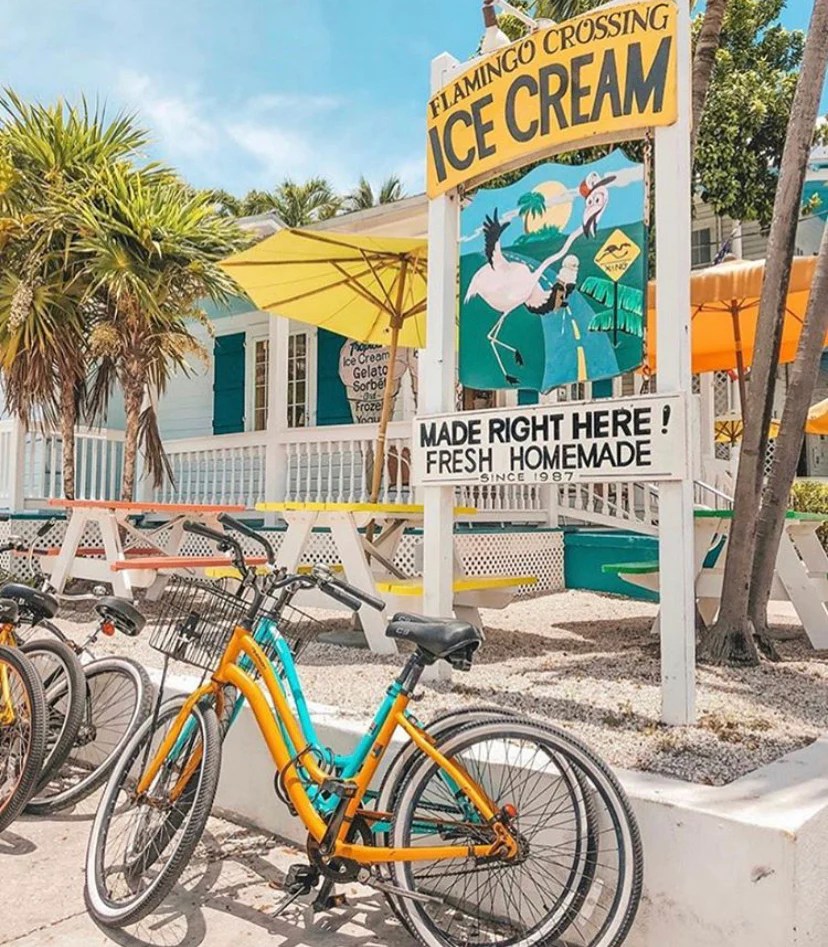 38 A Sweet Escape with Flamingo Crossing Ice Cream Backyards of