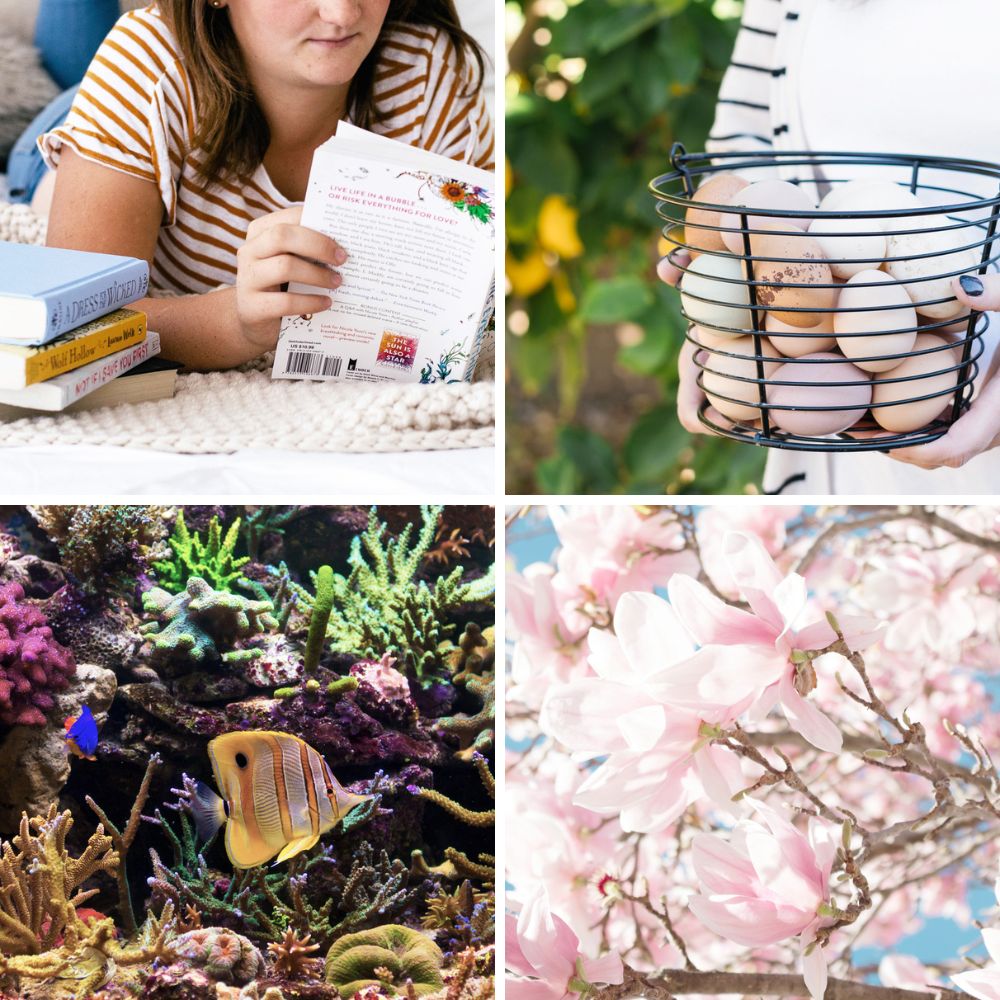 15+ Field Trip Ideas for an Educational DIY Summer Camp Backyard