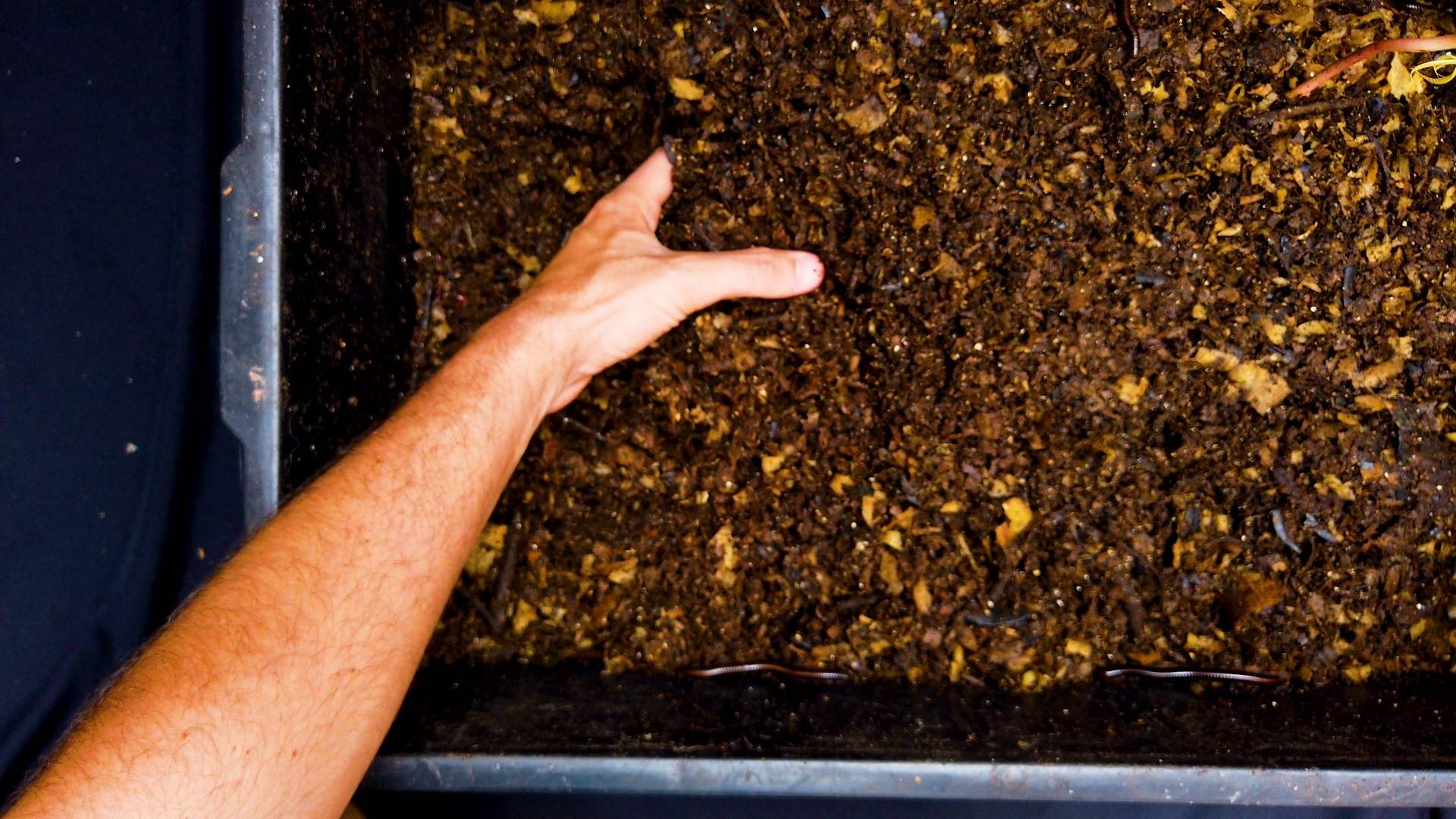 Top 5 Compost Bins for Outdoors Backyard University