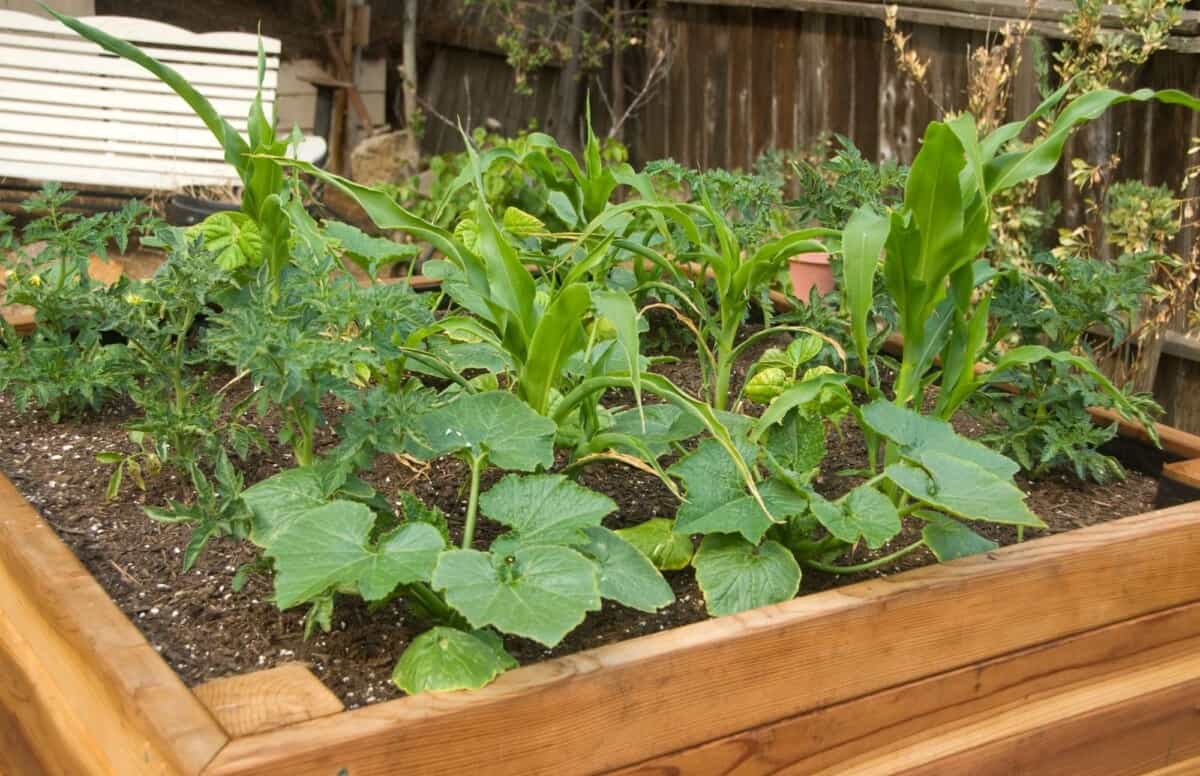 19 Creative Ways To Use Fire Pit Ash Backyard Virtuoso