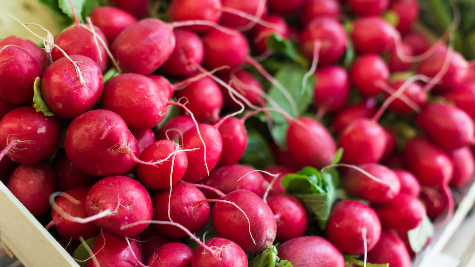 These Are the Best Seeds to Stockpile Now