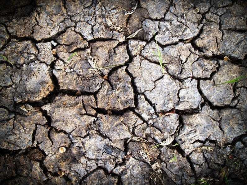 Gardening With Clay Soil - Backyard Water Garden