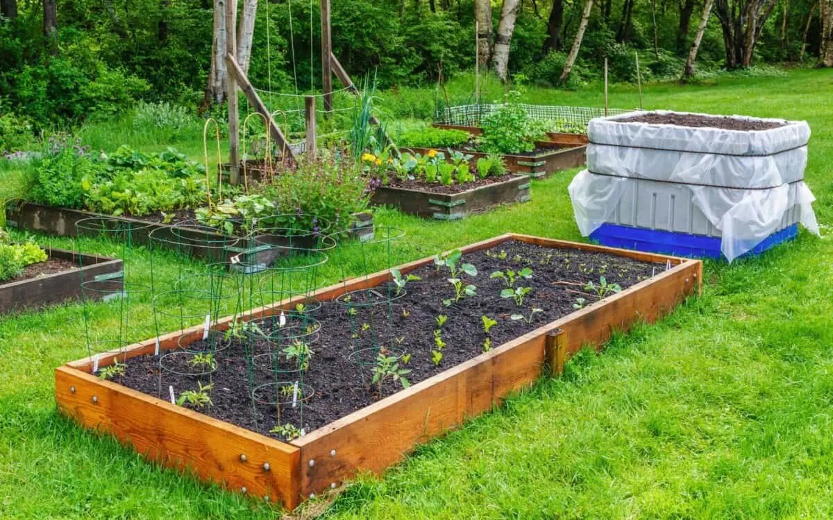 A Guide to Turning Your Backyard into a Vegetable Garden BackYardWay