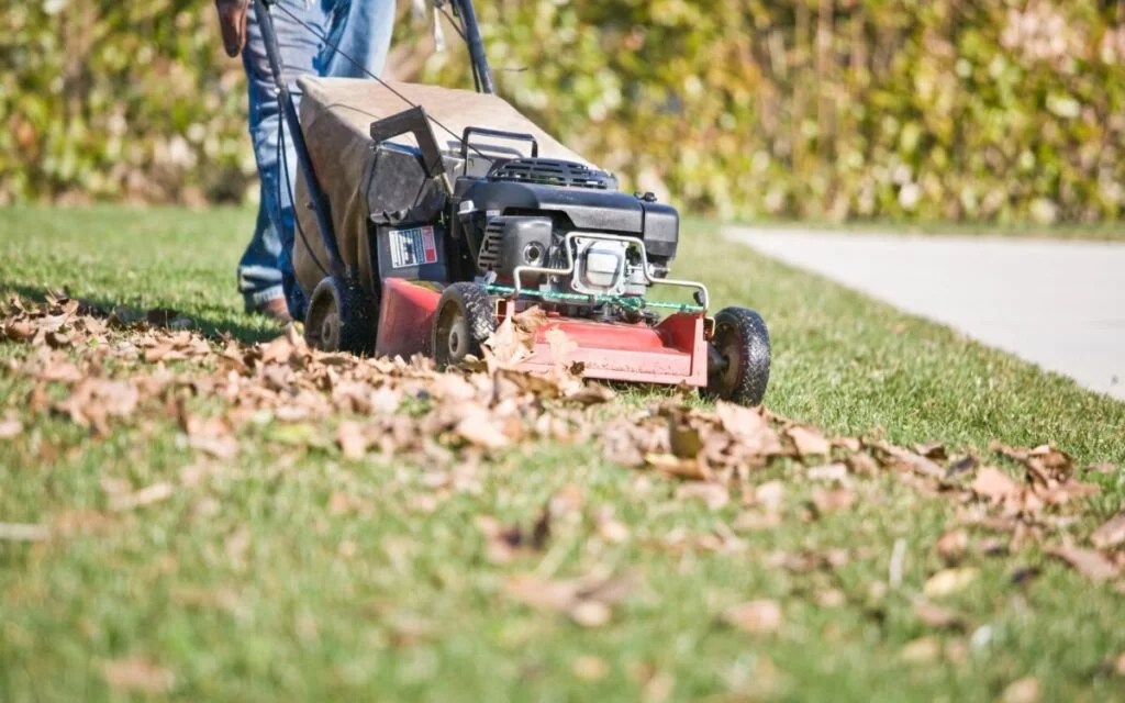 Complete Guide to Yard Maintenance for New Homeowners BackYardWay