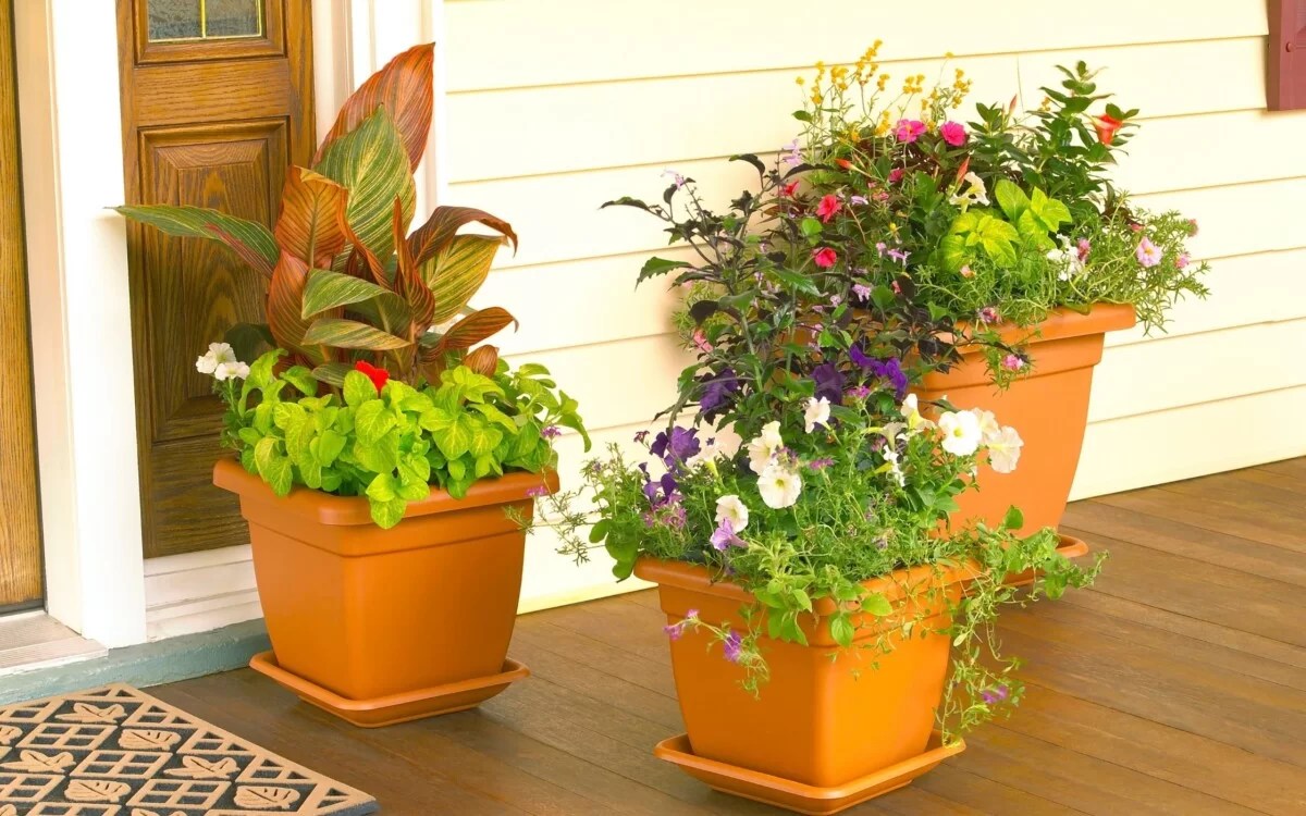 Best Outdoor Planters for Your Yard BackYardWay