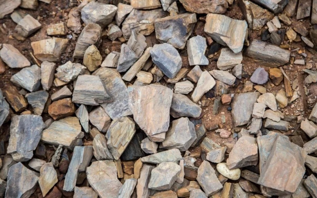 Need to Remove Rocks From Your Yard? This is What It Will Cost