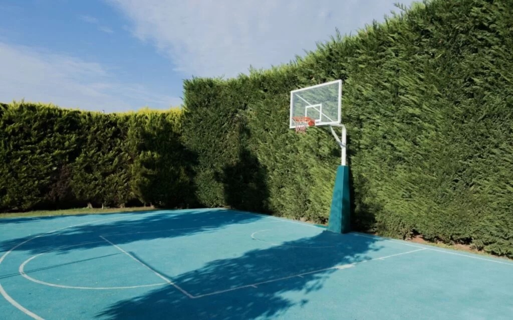 How Much Does a Backyard Sport Court Cost? BackYardWay