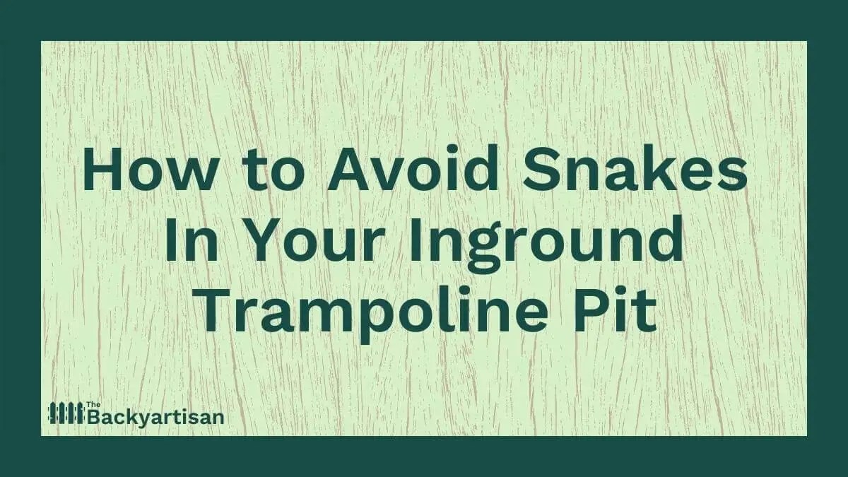 Snakes in Your Inground Trampoline Pit? How to Avoid Them The