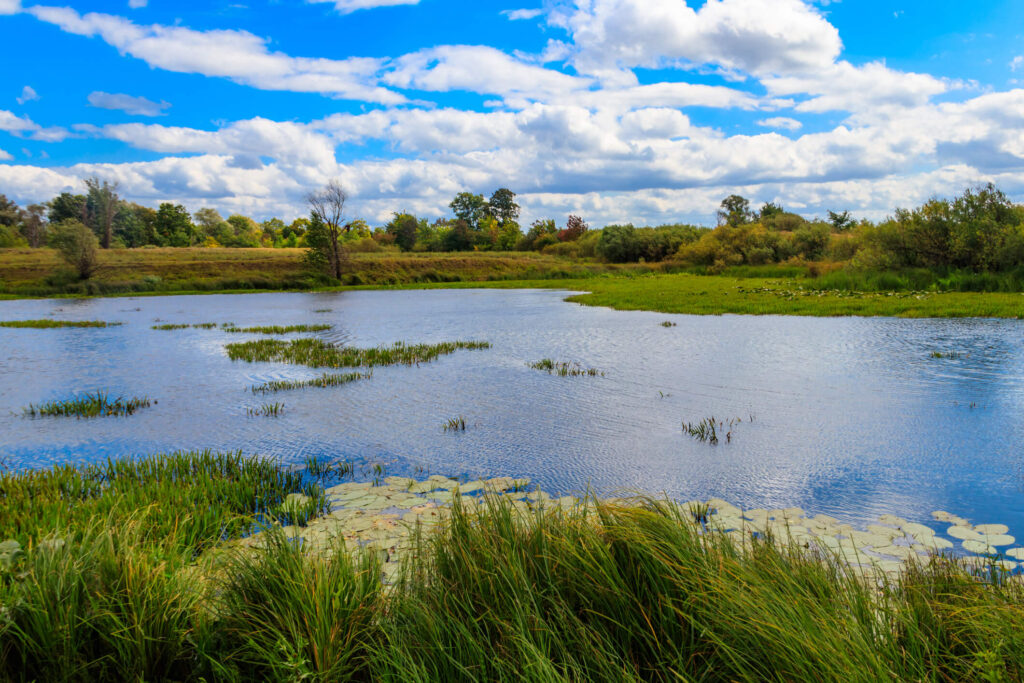 Wastewater Treatment Solutions Bacteria Direct HighQuality Bacteria