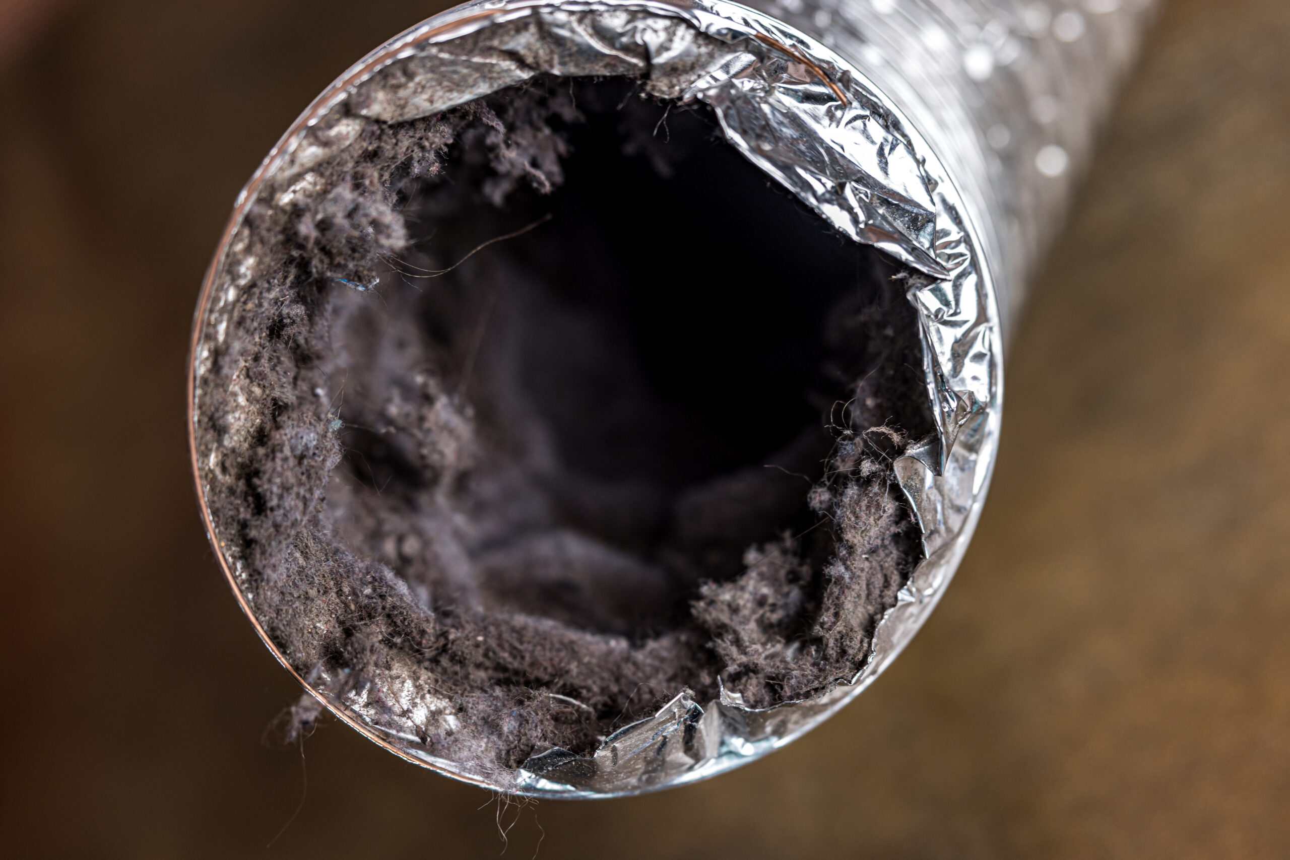 How Often Should You Clean Your Dryer Vent? Bactronix