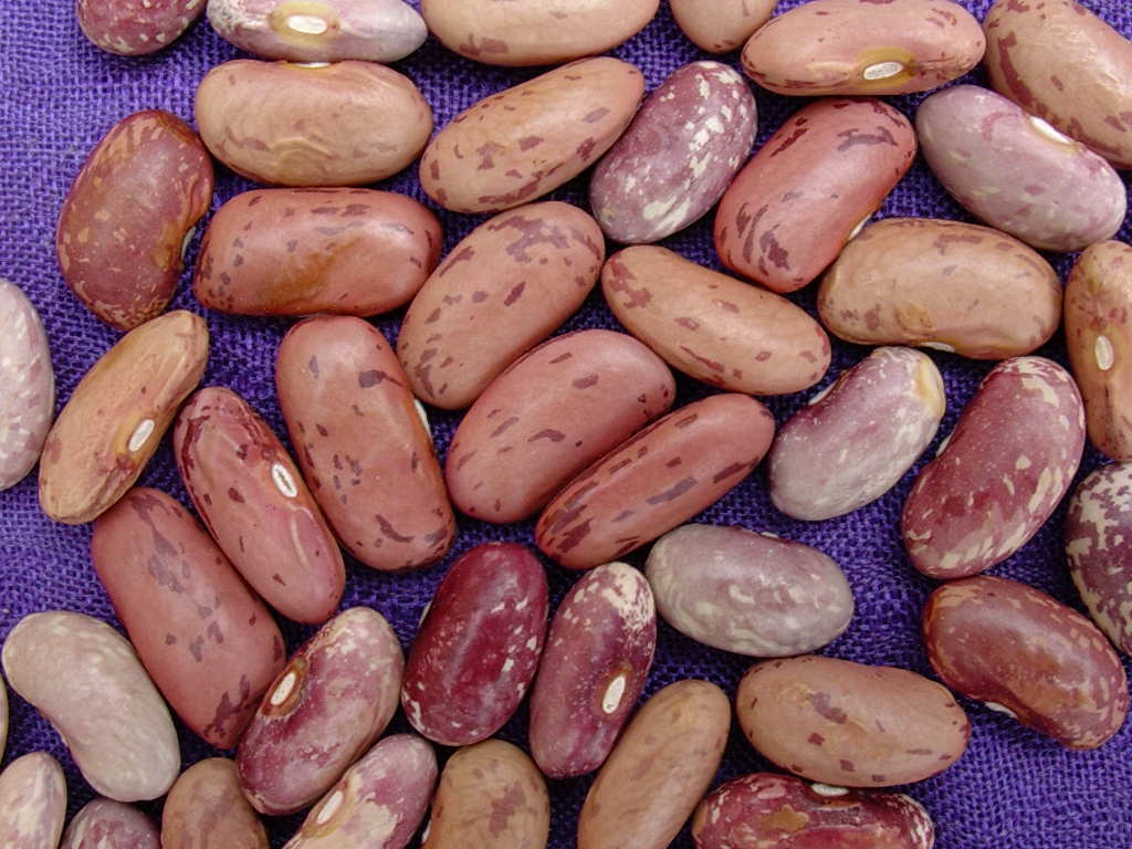 Food Habits / Recipes Badagas of the Blue Mountains