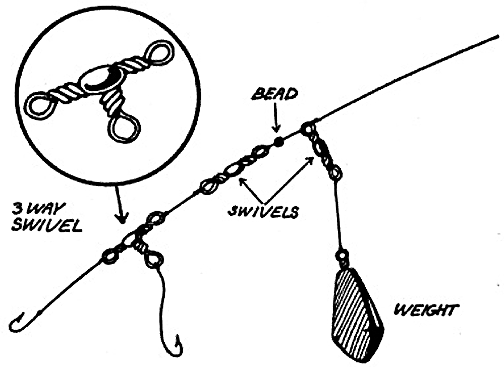 What Is Dover Sole Fishing for Sole BadAngling