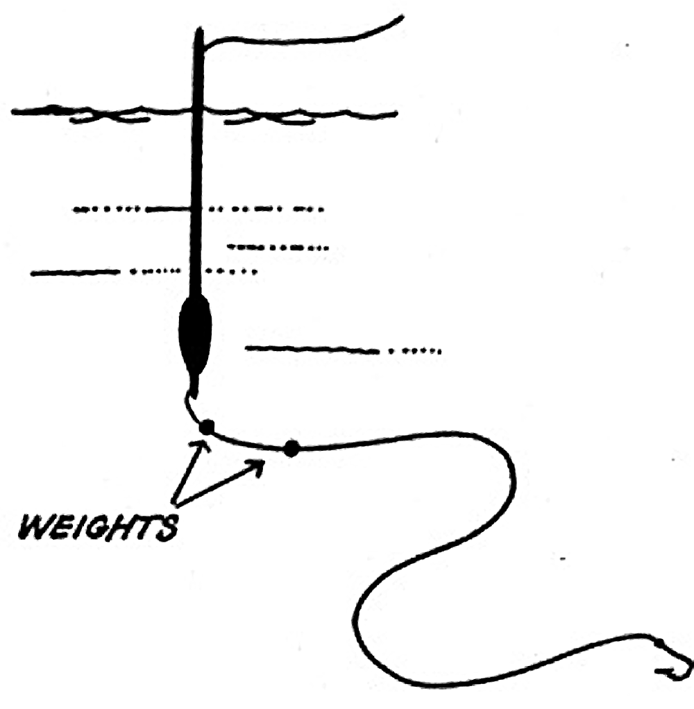 Fishing for Garfish Garfish Rigs & More BadAngling
