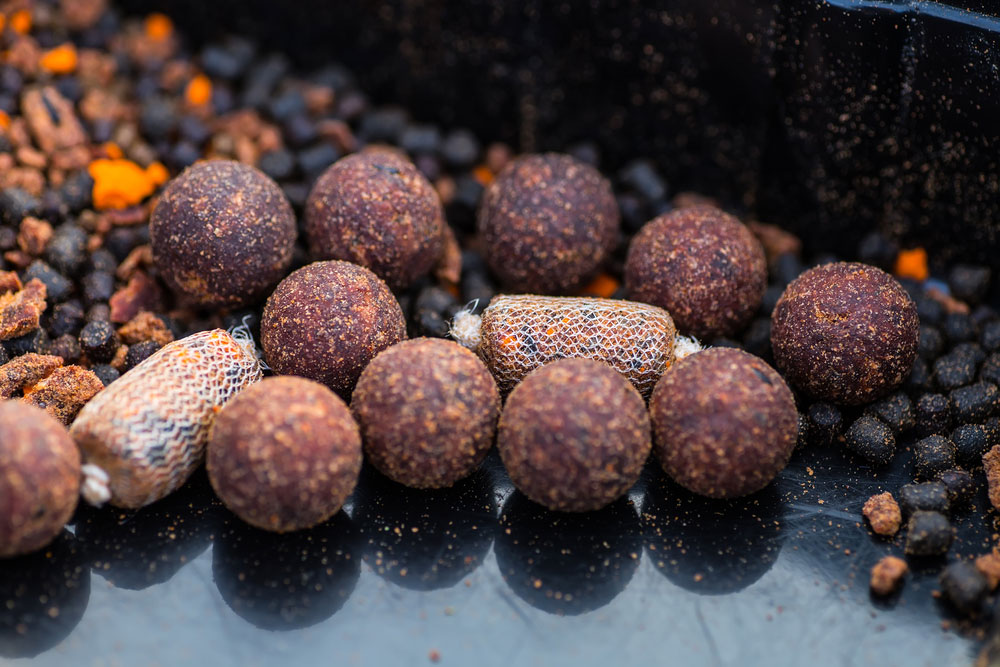 The Best Carp Baits How and When to Use Them BadAngling
