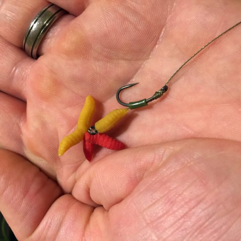 Carp Fishing with Maggots Winter Fishing Tips BadAngling