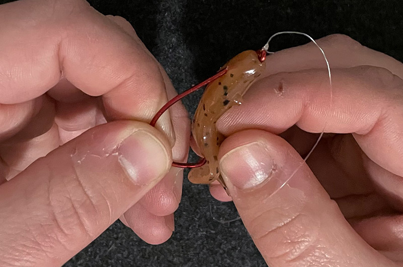 Hook, Line, and Sinker How to Rig a Lizard for Bass Fishing