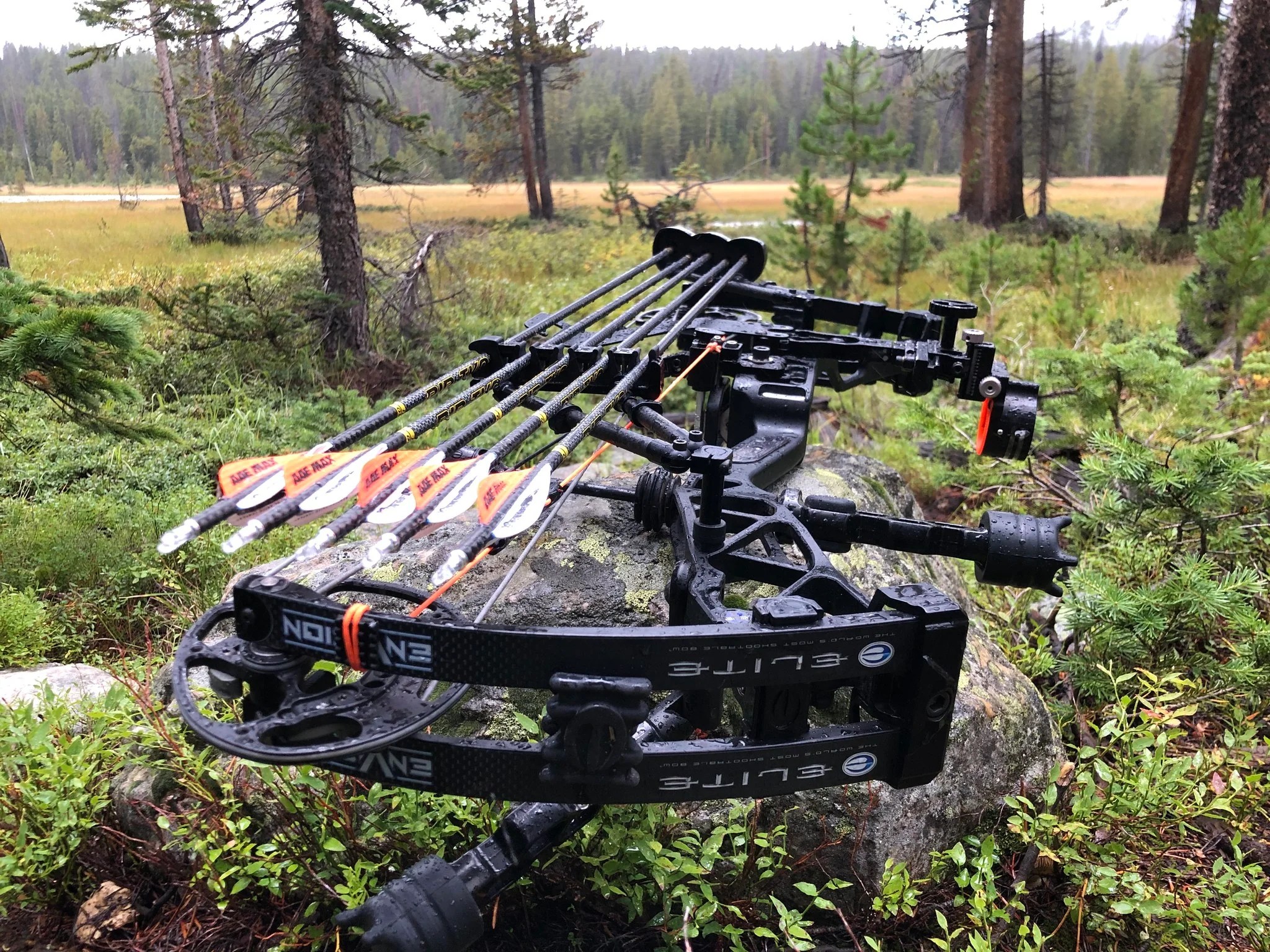 How to Choose Your First Compound Bow A Comprehensive Guide Badass