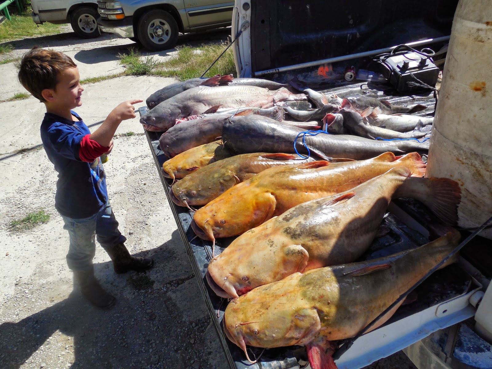 2014 BIG ON CATFISH At The BEND Bad Bobs Bend Store