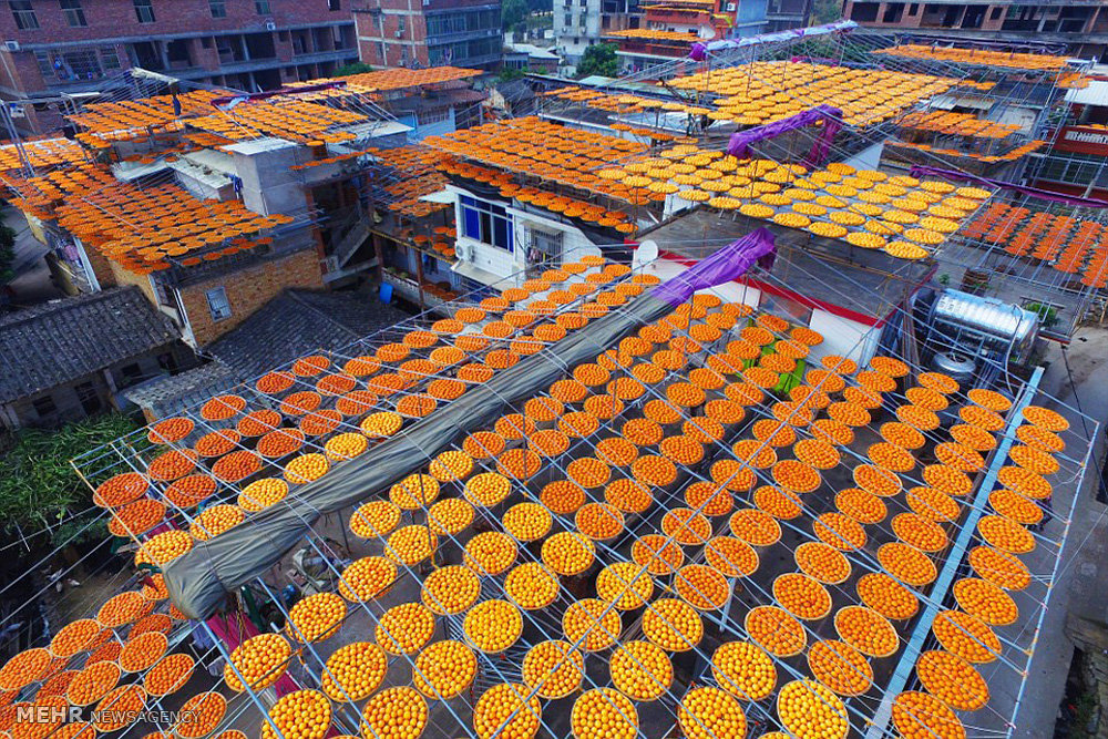 History of dried fruit میوه خشک بادله