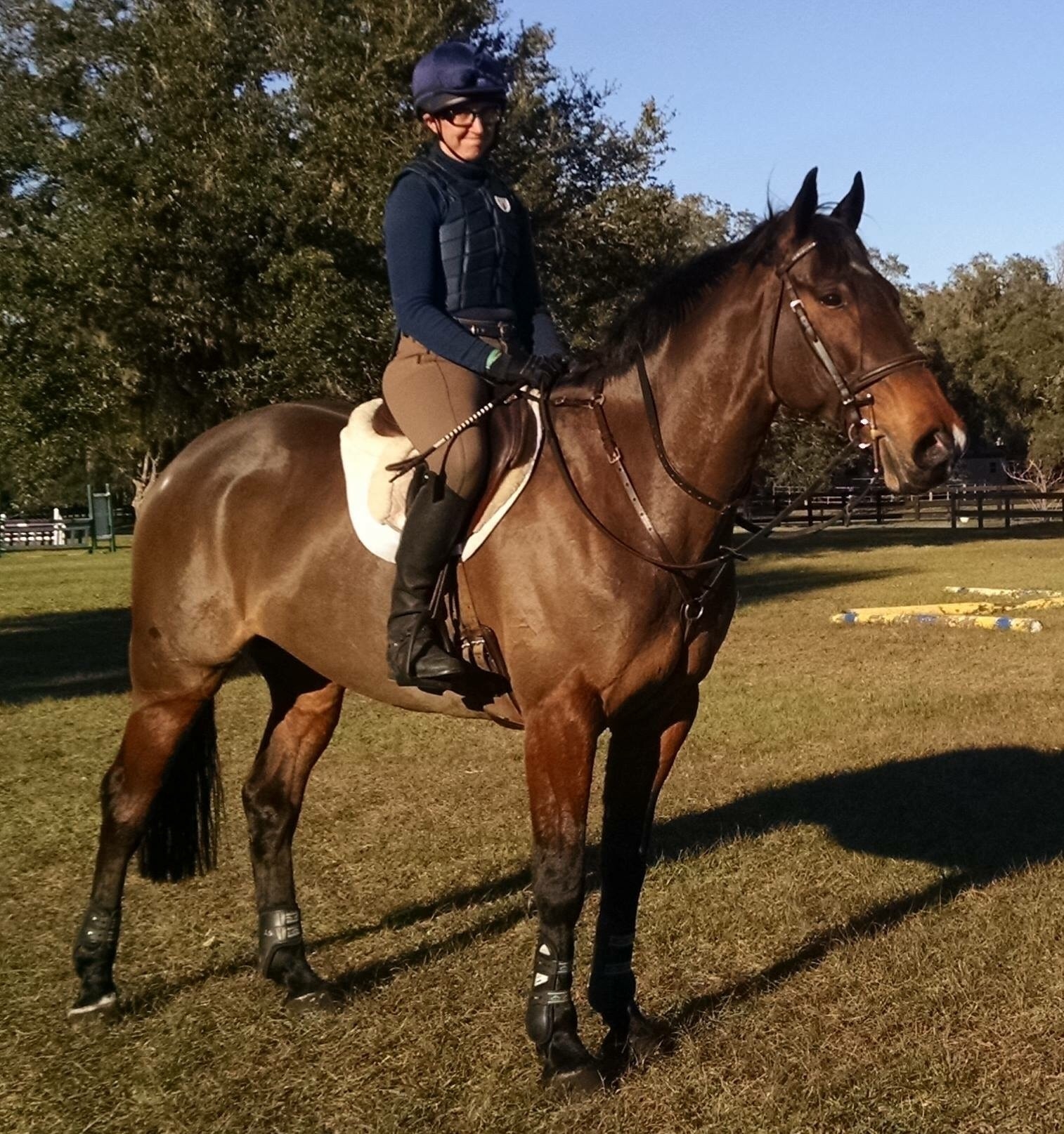 The Secrets of the Sitting Trot Tales from a Bad Eventer