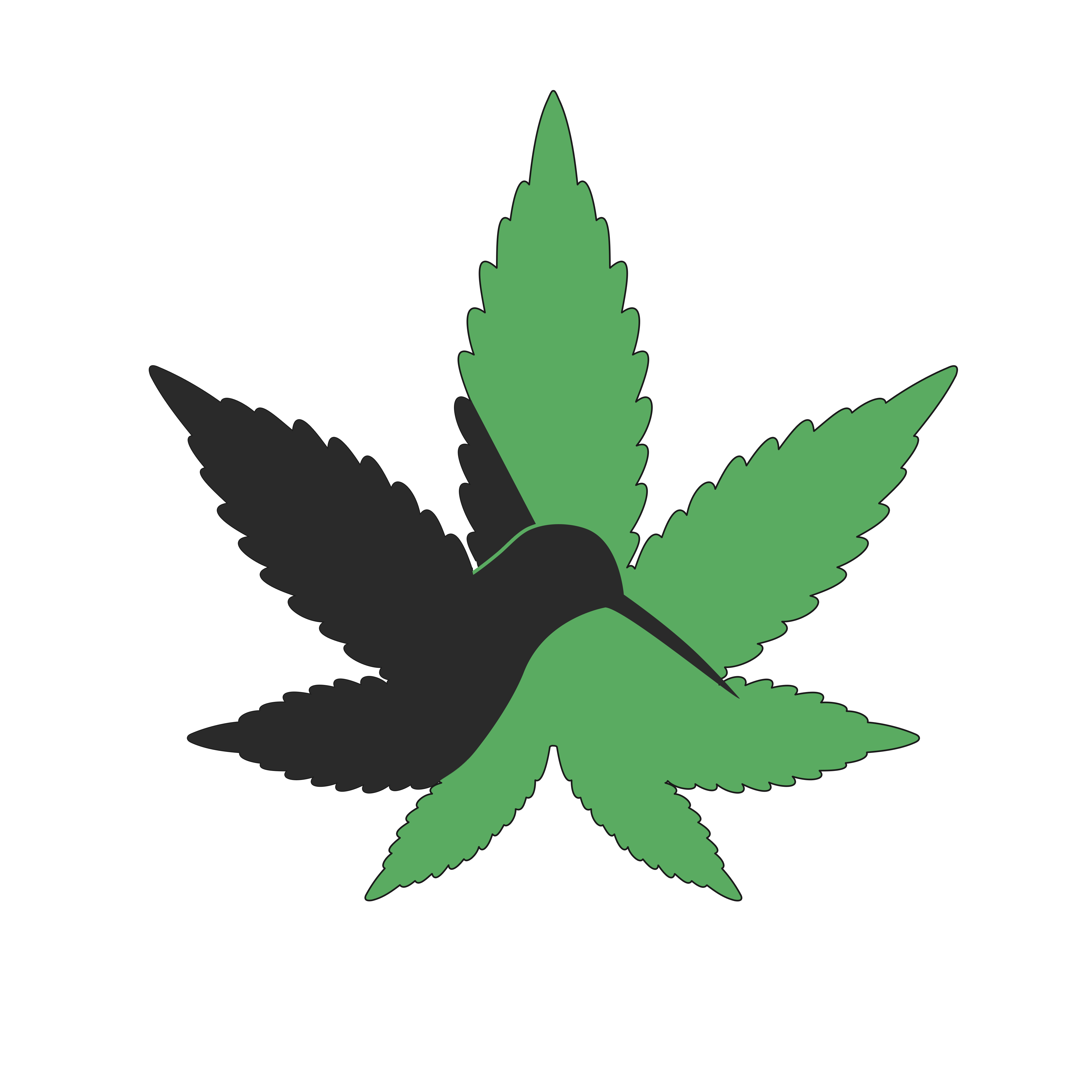 Portfolio Badfish Marketing