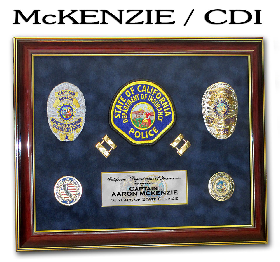 California Insurance Commissioner Free Help Financial Report