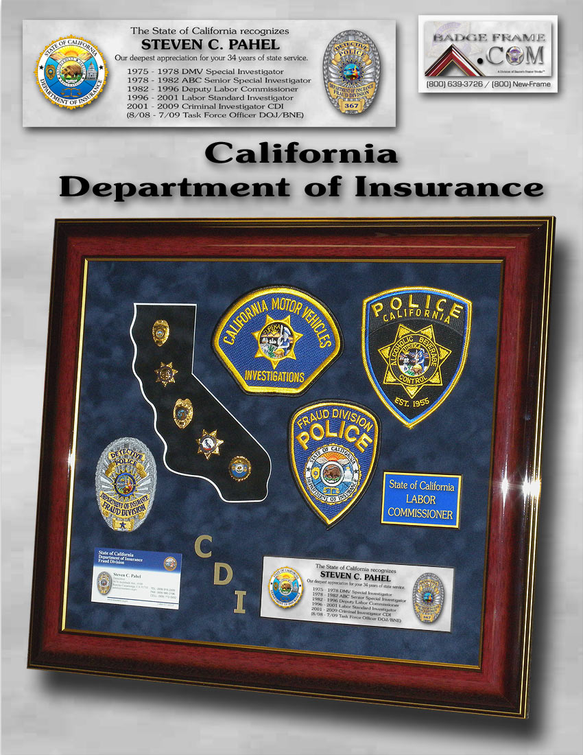 California Department of Insurance Framed Projects