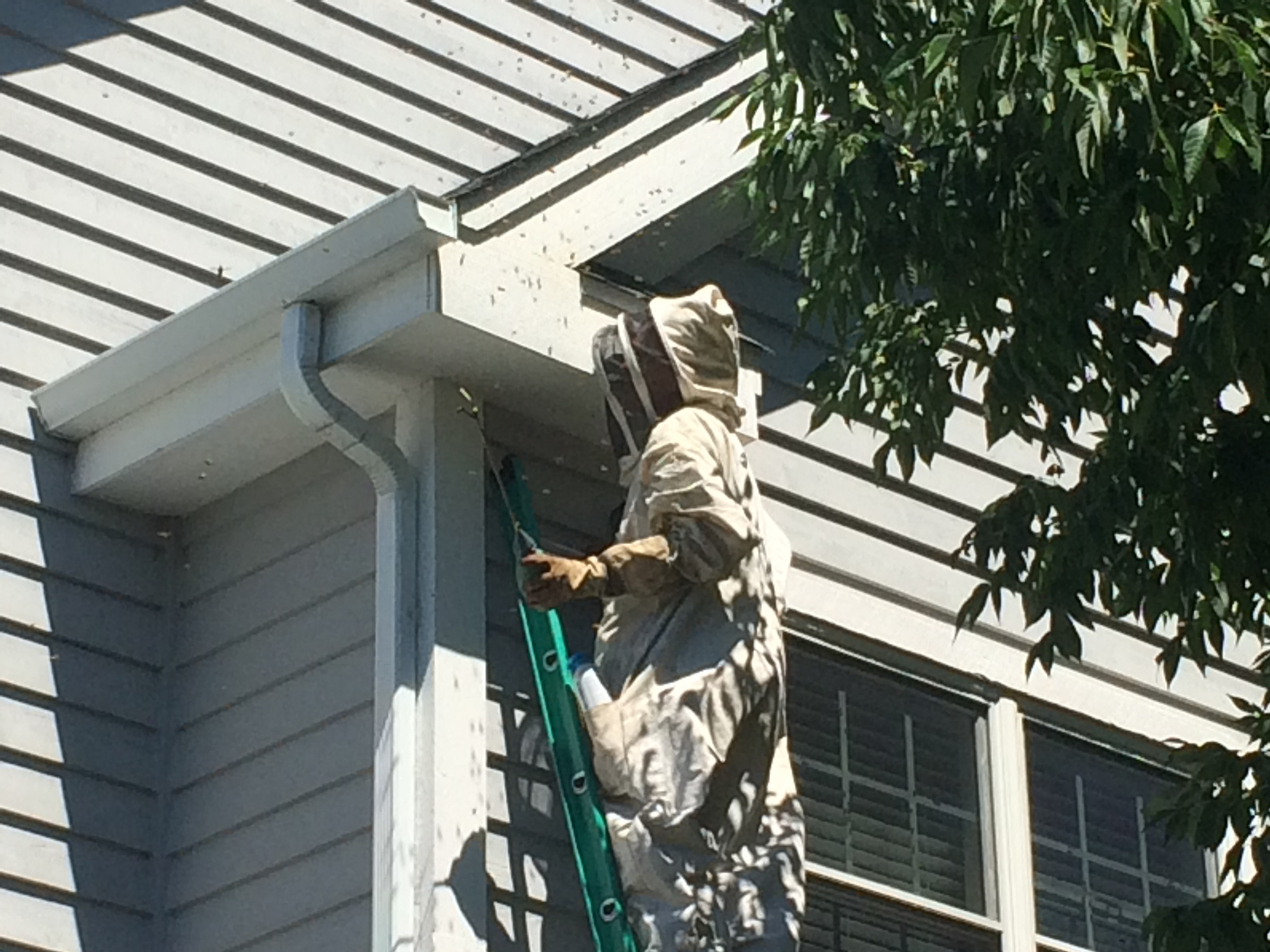 Pest Control Badger Pest Control Pest Control Watertown