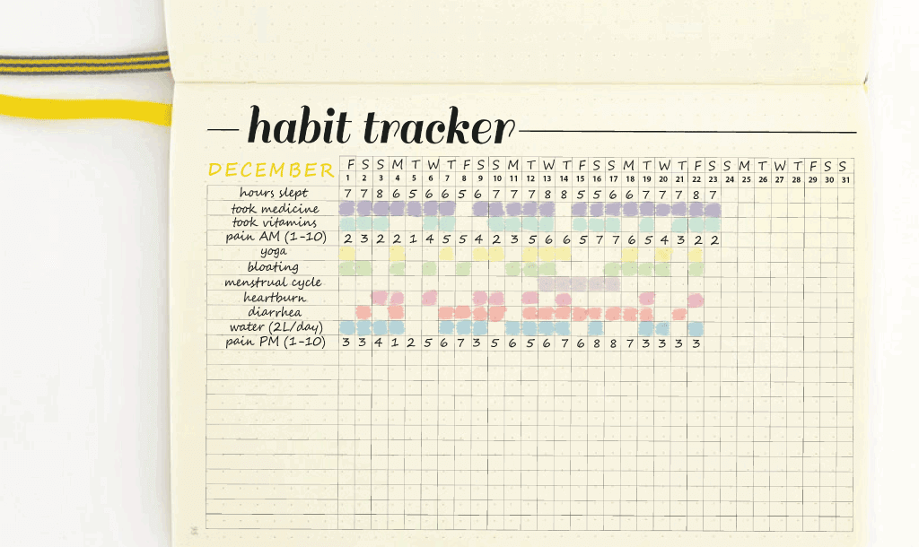 Tracking Your Digestive Health with a Bullet Style Journal