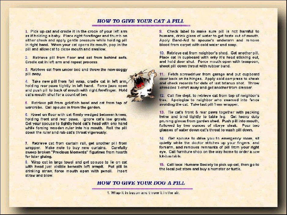 How To Give A Cat A Pill Humor With Pictures Cat Lovster