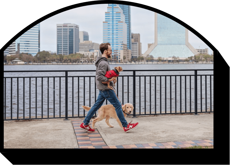 About Bad to the Bone Pet Care Inhome Pet Sitting Jacksonville