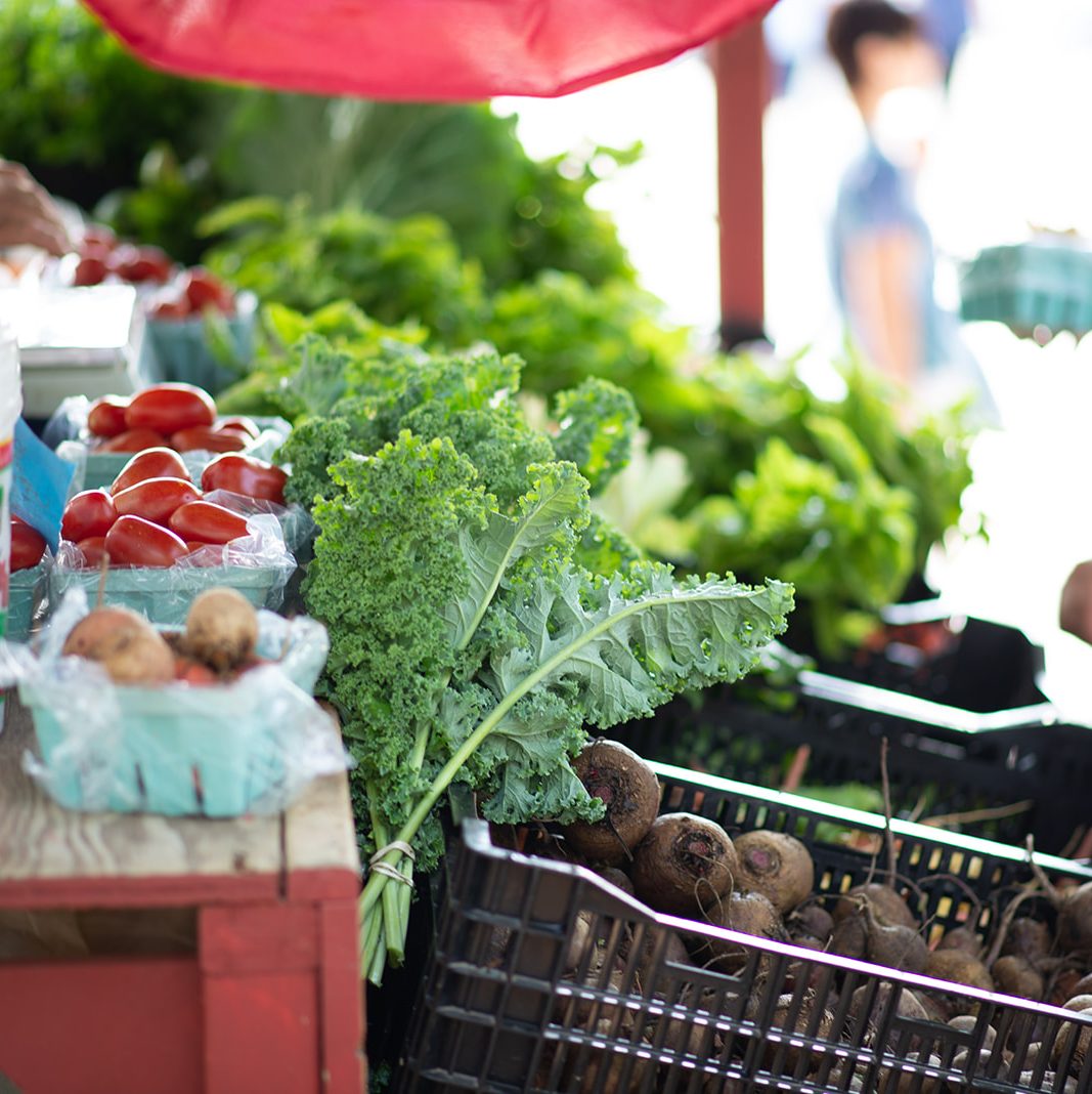 Friends of the Bryn Athyn Farm Supporting education and agriculture