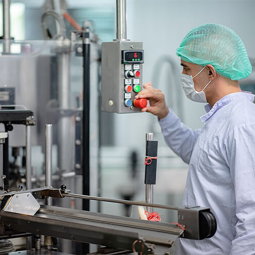 Food Bundaberg AgFood & Fibre Alliance