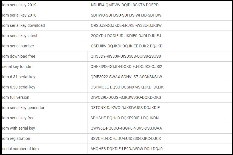 IDM Serial Number BAGAS31 Download Software Gratis