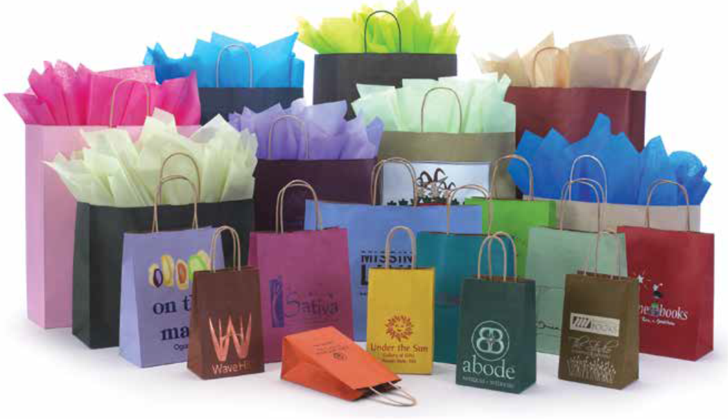 Paper Shopping Bags Archives - Bag Barn, Online Services Inc.