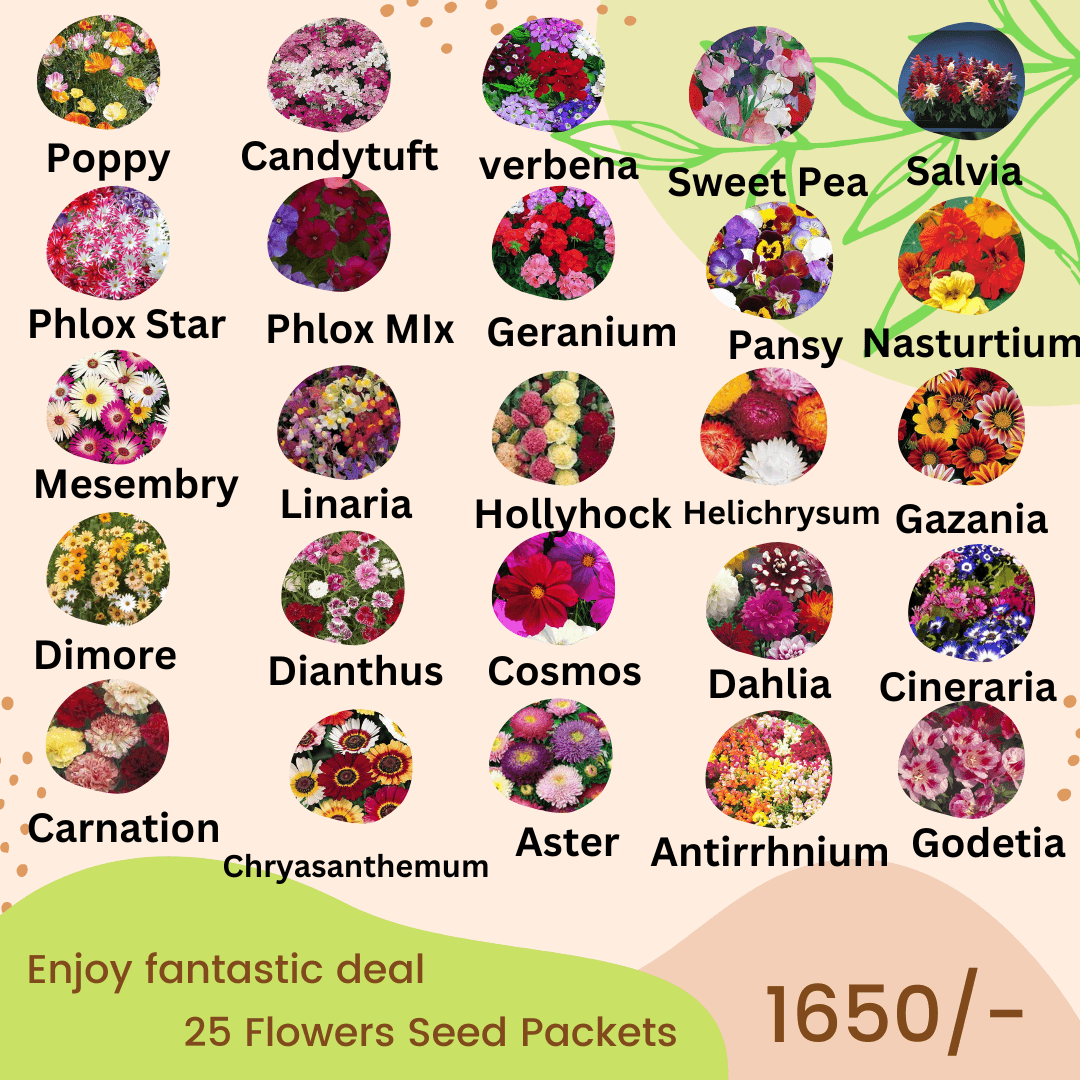 Winter Flower Seeds Deal