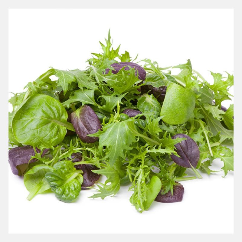 Asian Gourmet Salad Mix Microgreen Seeds