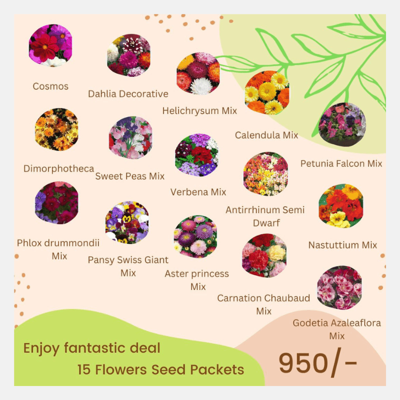 Winter Flower Seeds Deal