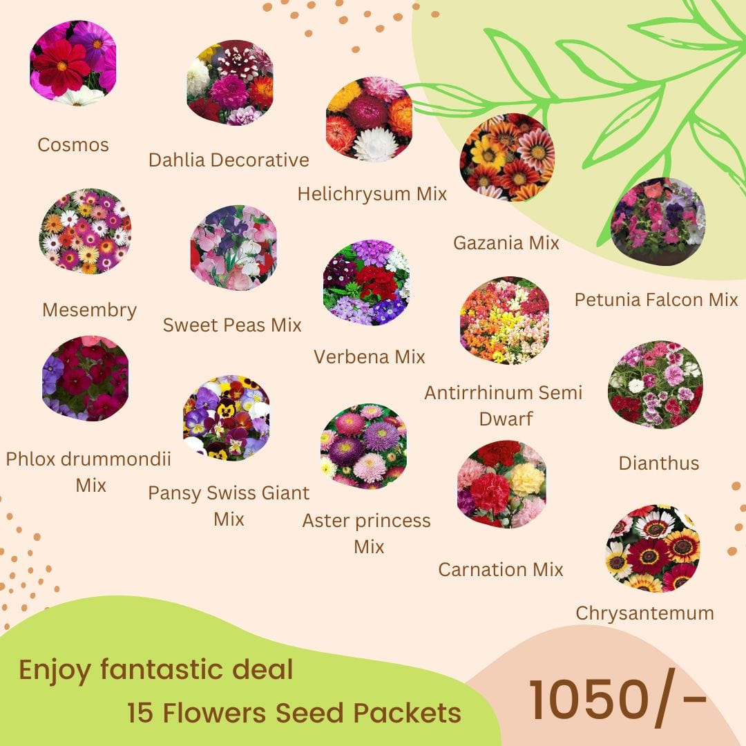Winter Flower Seeds Deal